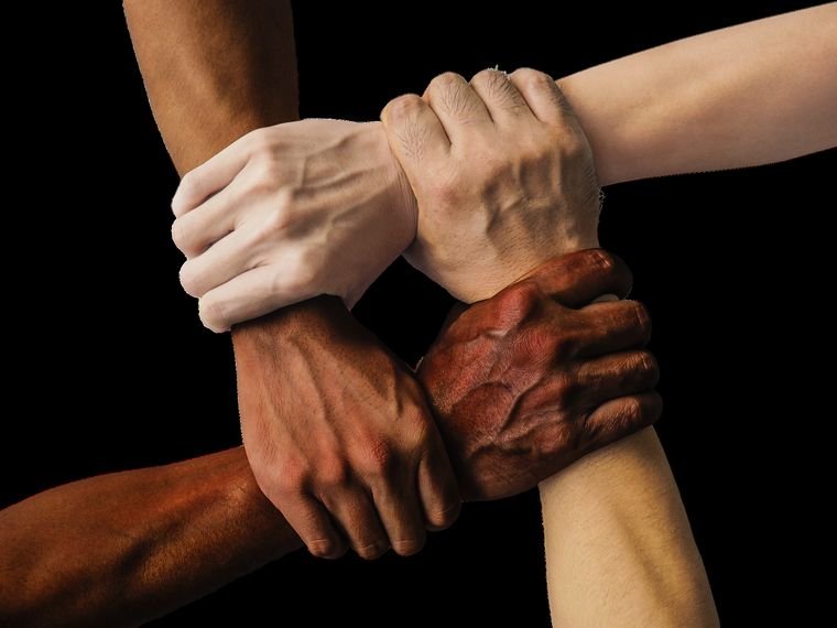 Four hands of different skin tones holding each other's wrists in unity